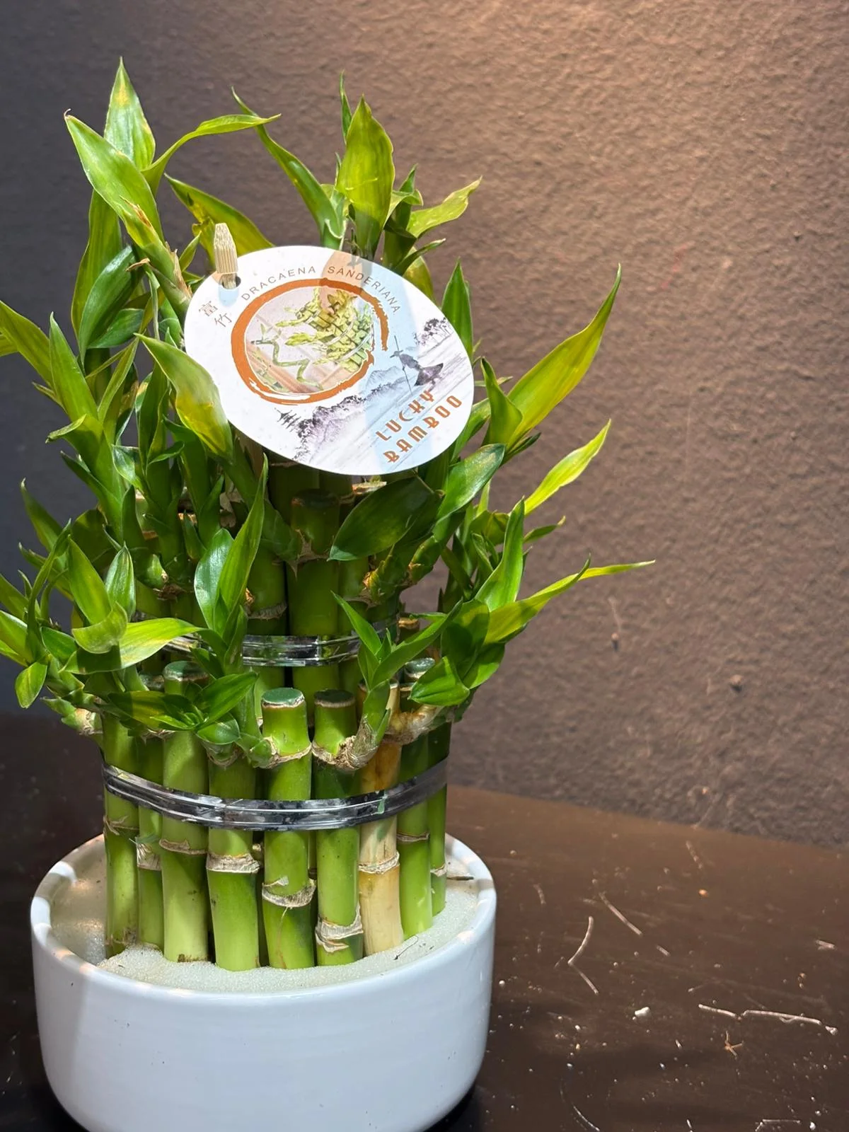 Bamboo Piramit Lucky alternatif görünüm 3